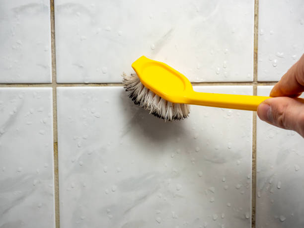 Best Same-Day Mold Removal  in Menasha, WI