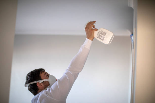 Best Crawl Space Mold Removal  in Menasha, WI