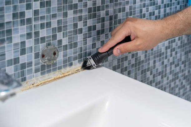 Best Office Mold Removal Services  in Menasha, WI
